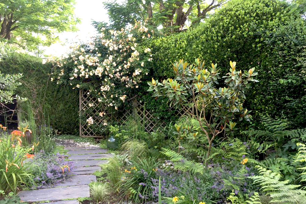 Jardin-shiste