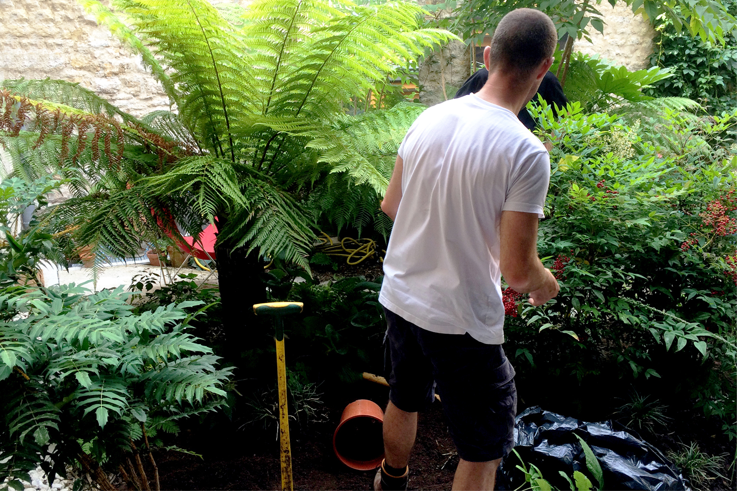 Plantation