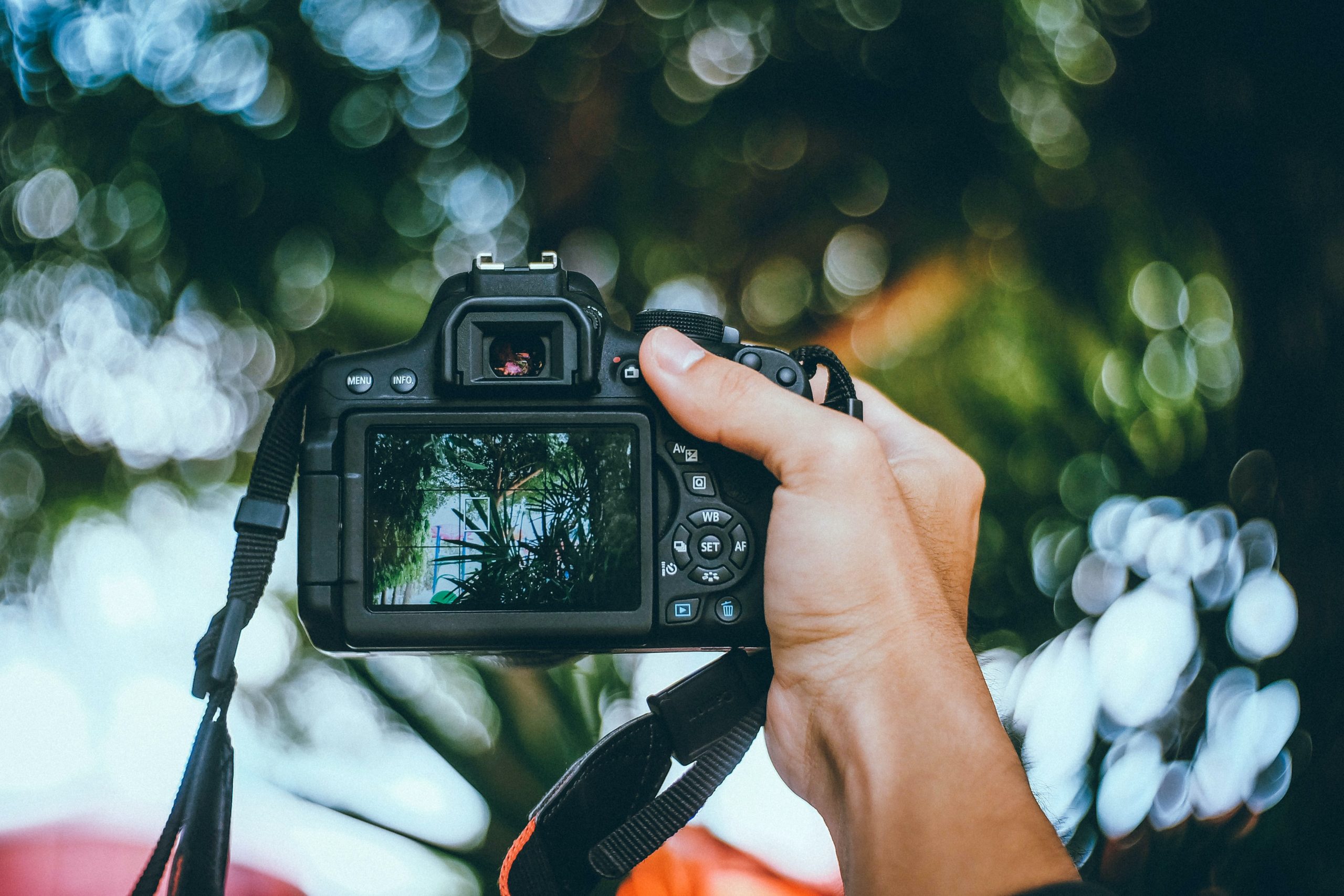 kawin-harasai-VMpIew0mHlo-unsplash